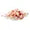 Himalayan salt